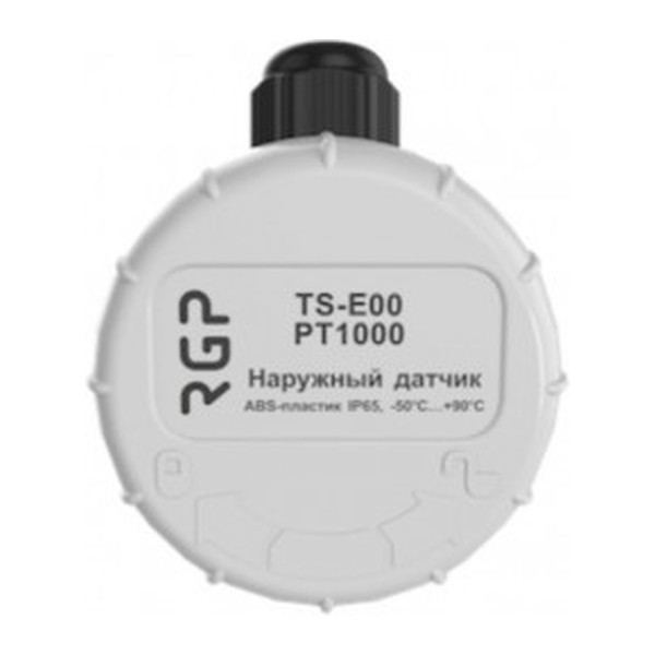 Датчик температуры наружного воздуха RGP TS-E00 PT1000